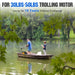 Eco-Worthy Solar Batteries Eco-Worthy LiFePO4 12V 50Ah Lithium Iron Phosphate Battery