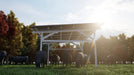 Signature Solar Solar Panels Chiko USA Premier Residential Steel Carport | Black | Solar Pergola | Solar Gazebo