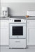 Summit Induction Range Summit REN20W2 20" Wide Induction Range