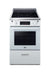 Summit Induction Range Summit REN24W5 24" Wide Induction Range