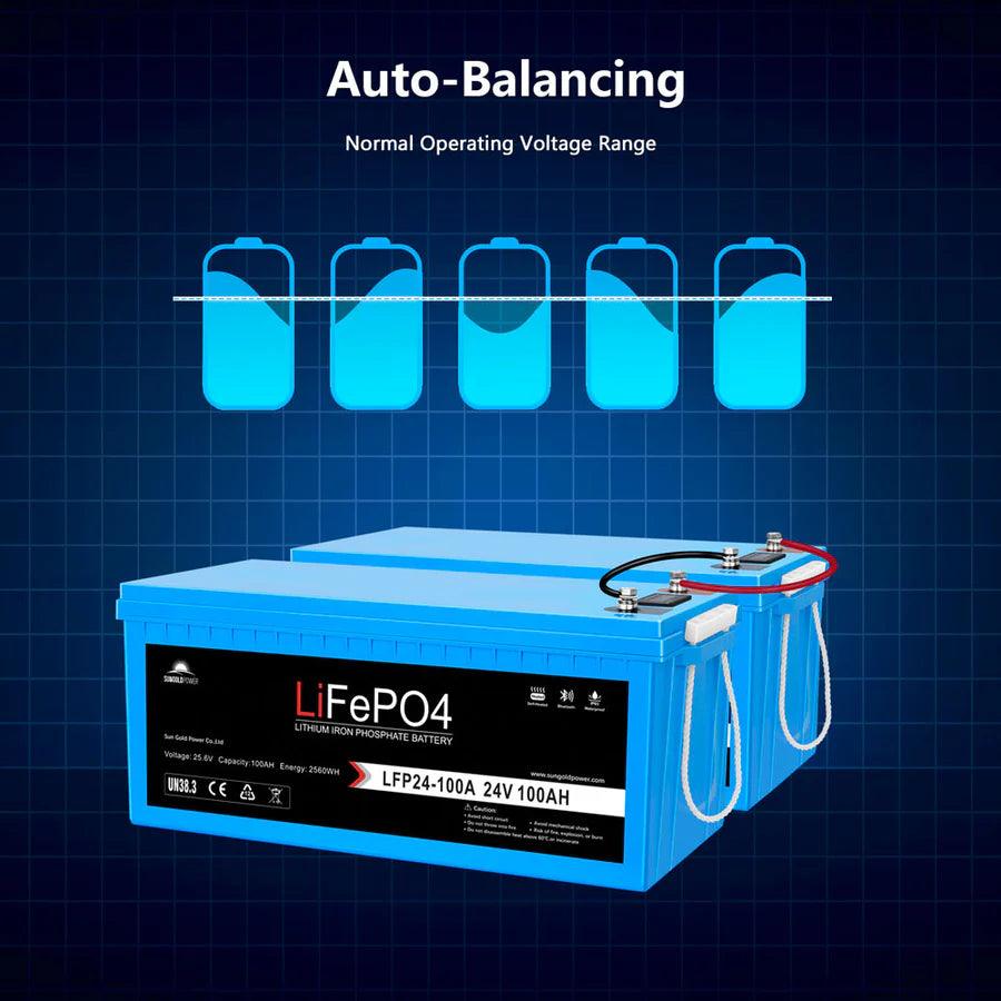 Sungold Power Solar Batteries SunGoldPower 24V 100AH LiFePO4 Deep Cycle Lithium Solar Battery