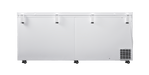 SunStar/SolarFreeze Solar Appliances SunStar ST-21CF  21 cu. ft. 12V / 24V DC Solar Chest Refrigerator or Freezer - In Store Offer Only