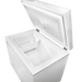 SunStar/SolarFreeze Solar Appliances SunStar ST-8CF 8.2 cu. ft. AC Chest Refrigerator or Freezer (Good for 48v Systems w/Inverter)