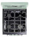 Unique Natural Gas Range/Stove Classic Retro by Unique 24” Convection Gas Range (Electronic Ignition) UGP-24CR LG (Light Green)