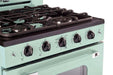 Unique Natural Gas Range/Stove Classic Retro Unique 30" Convection Gas Range (Electronic Ignition) in Mint Green UGP-30CR LG
