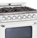 Unique Smoothtop Convection Gas Range Unique 36' Classic Retro Marshmallow White Range With FR Triple Crown Burner UGP-36CR W