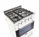 Unique Natural Gas Range/Stove Unique Prestige 20" Convection Gas Range (Electronic Ignition) UGP-20V PC1 W (White)